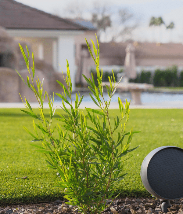 Outdoor Entertainment Installation in Arizona